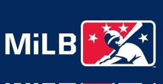 USA MILB PACK